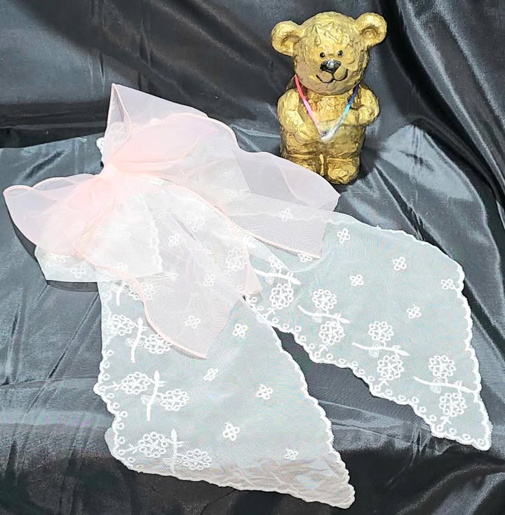 Gorgeous Lace Hair Bow πΈπ