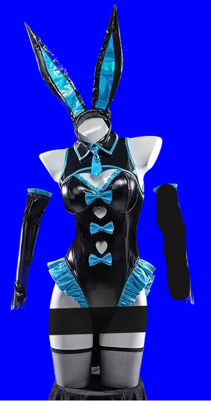 Anime Bunny Girl Cosplay Costumes See Through Bodysuit Socks